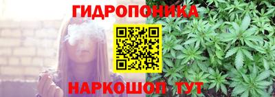 гидра Заволжье