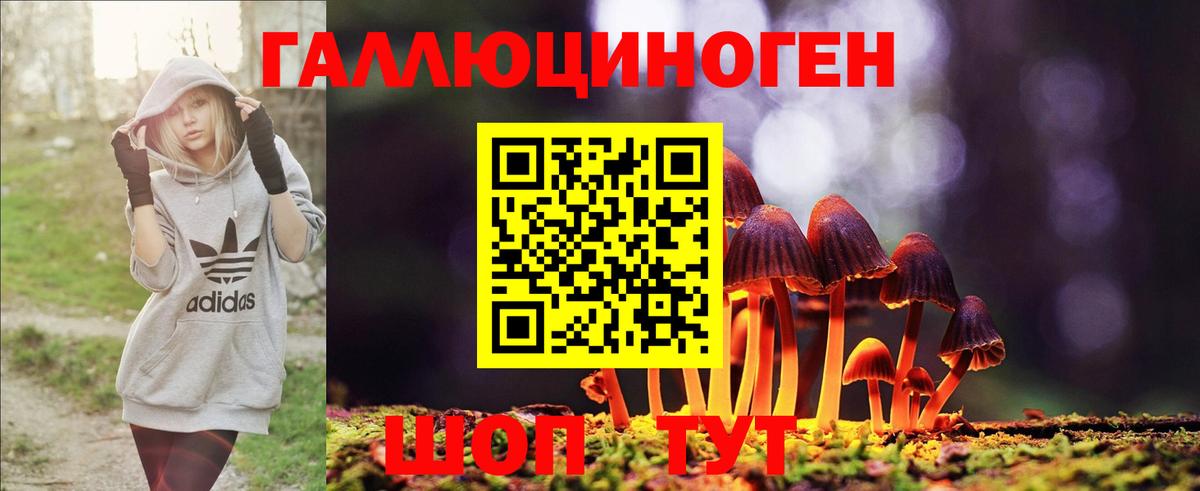 Галлюциногенные грибы мухоморы Кировск