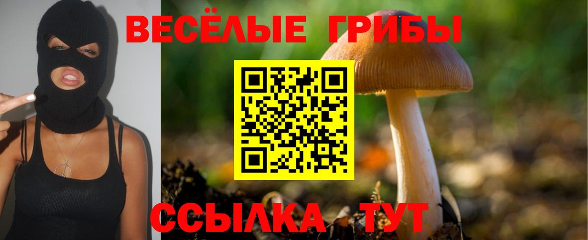 Псилоцибиновые грибы мухоморы  Вход с VPN  Кировск 