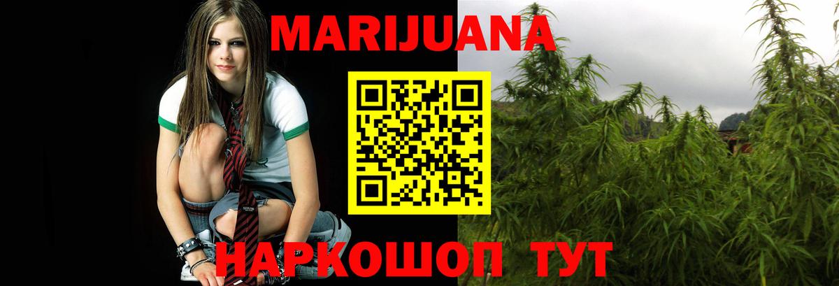 Бошки Шишки гибрид Кировск